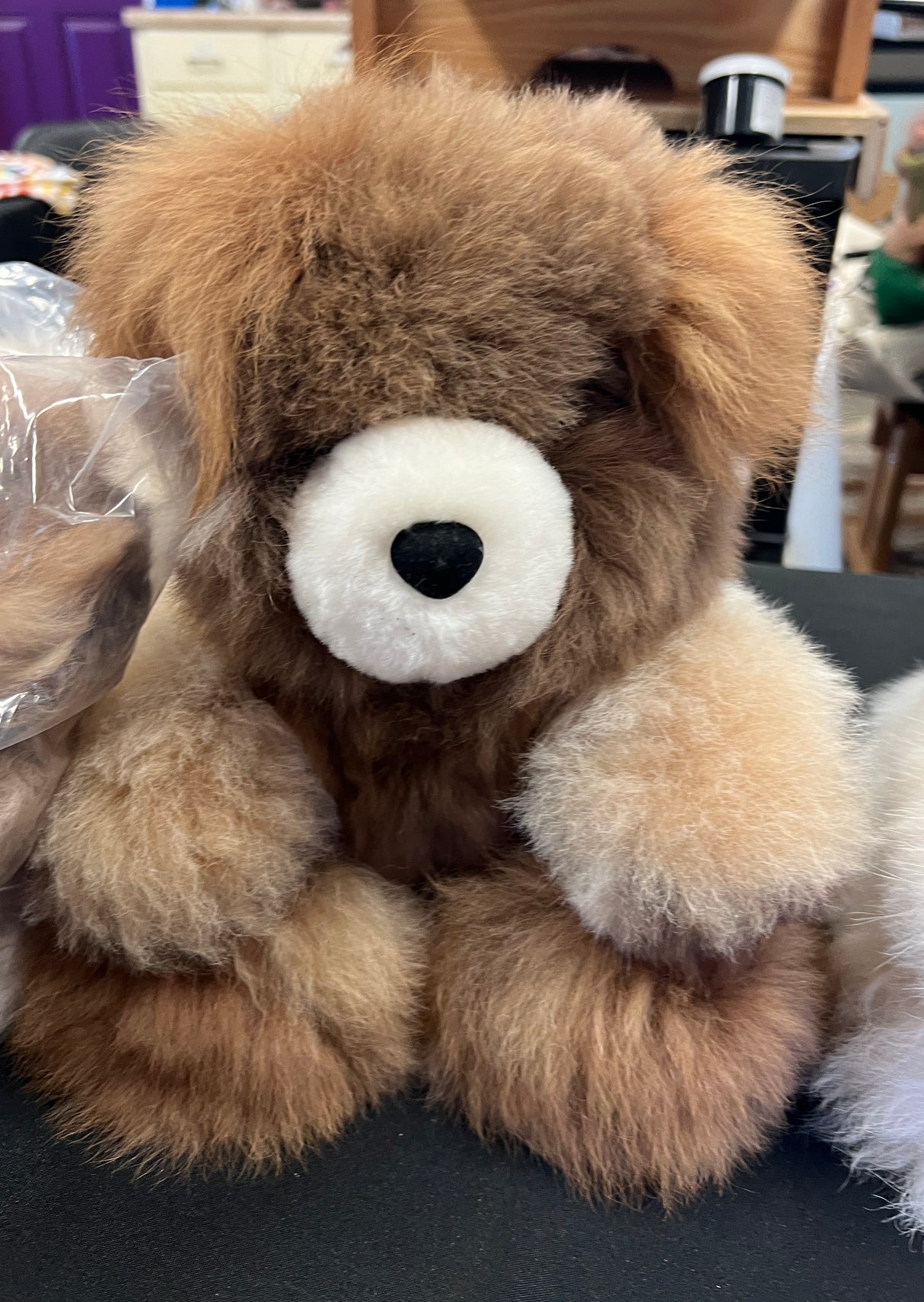 Teddy Bears