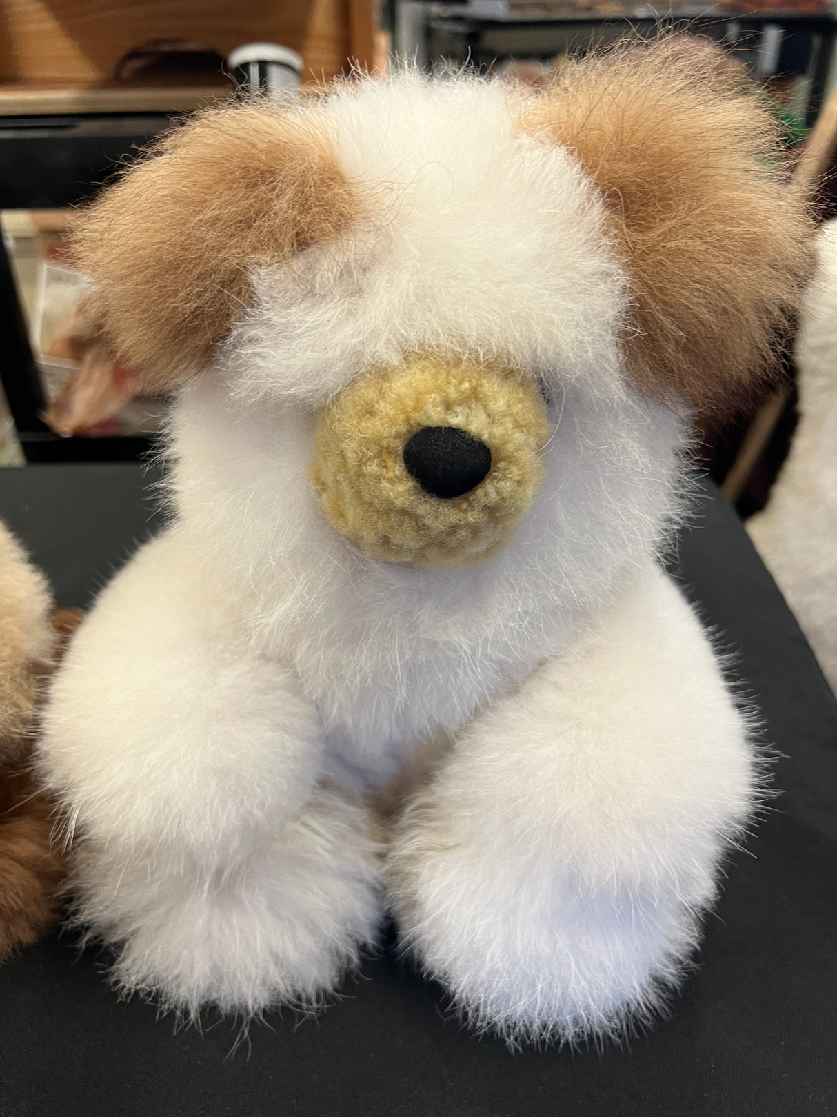 Teddy Bears