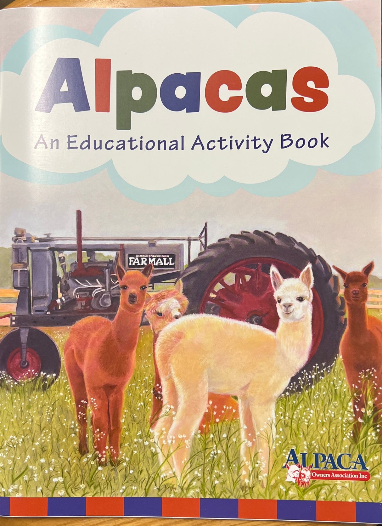 Activity Book