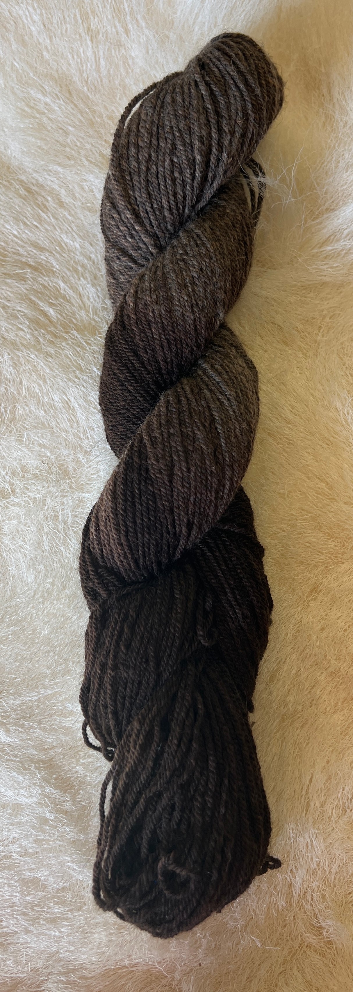 Mixed Chocolates Sport Yarn