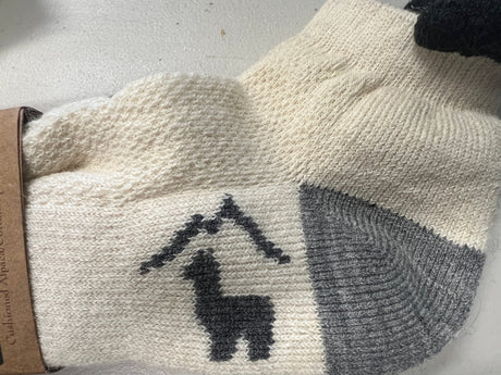 RK 292 Low Mesh Sock