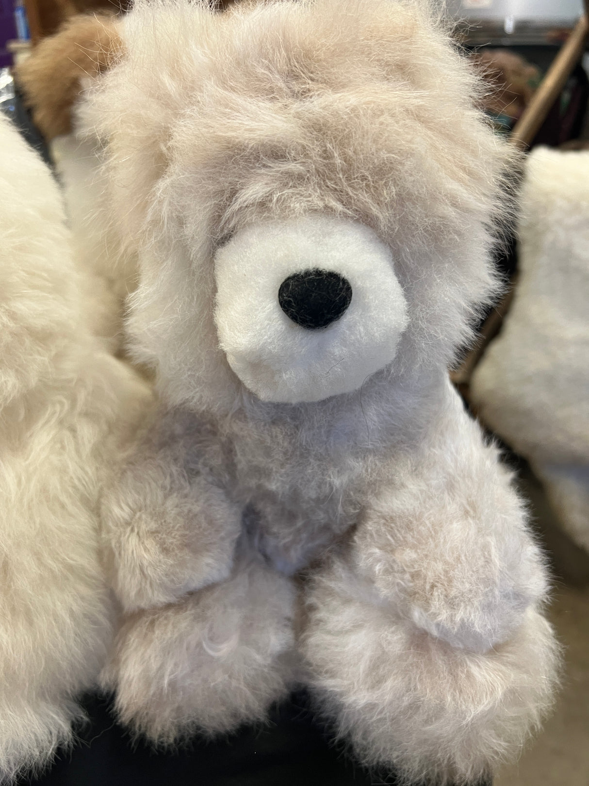 Teddy Bears